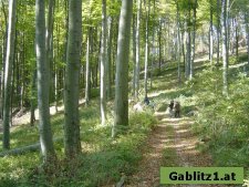 Wanderweg zum Troppberg von Gablitz aus