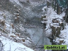 Baumschlägerungen entlang des Gablitzbaches Dezember 2009